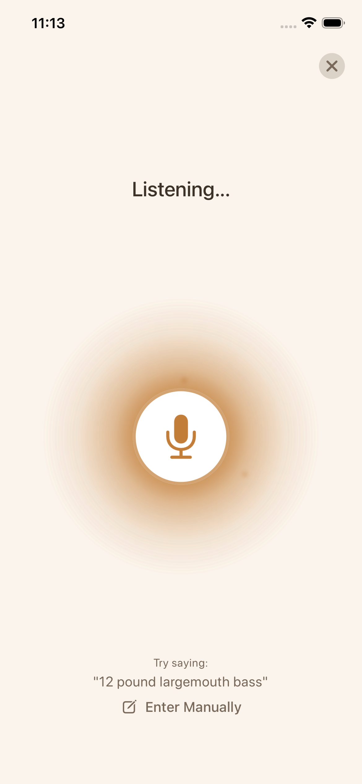 Voice capture